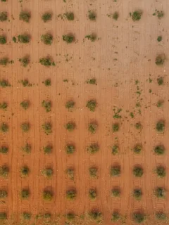 Mexico's Trade Policies & US Agricultural Exports: Potential Consequences - Cover Image
