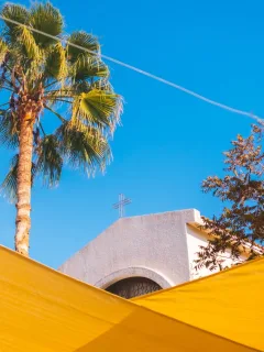 Mexico Real Estate Trends,
