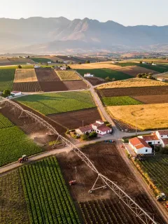 Vibrant agricultural fields in Mexico with modern irrigation and traditional farming. Mexico agricultural sector