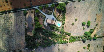 Agribusiness in Mexico 2025: Untapped Potential for US Investors - Cover Image