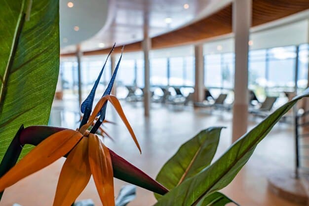 A modern, inviting hotel lobby in a Mexican resort, showcasing high-quality hospitality and comfort.