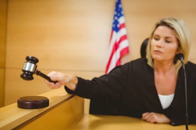 US Supreme Court Immigration Ruling & Border Security: Key Impacts