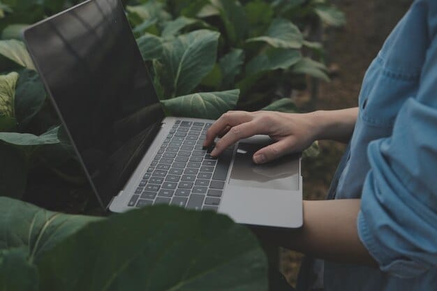 A close-up of hands typing on a laptop, displaying an online application form with agricultural symbols in the background, representing the digital aspect of visa applications.