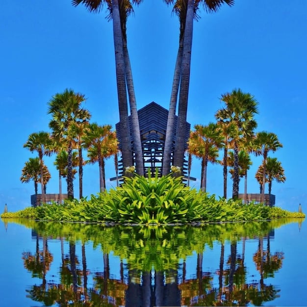 A modern condominium building overlooking a blue ocean in a tropical setting, with lush palm trees.