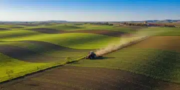 Vast agricultural fields in Mexico symbolizing future food production.