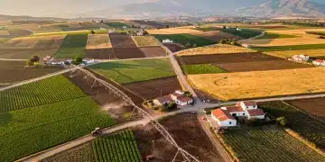 Vibrant agricultural fields in Mexico with modern irrigation and traditional farming.