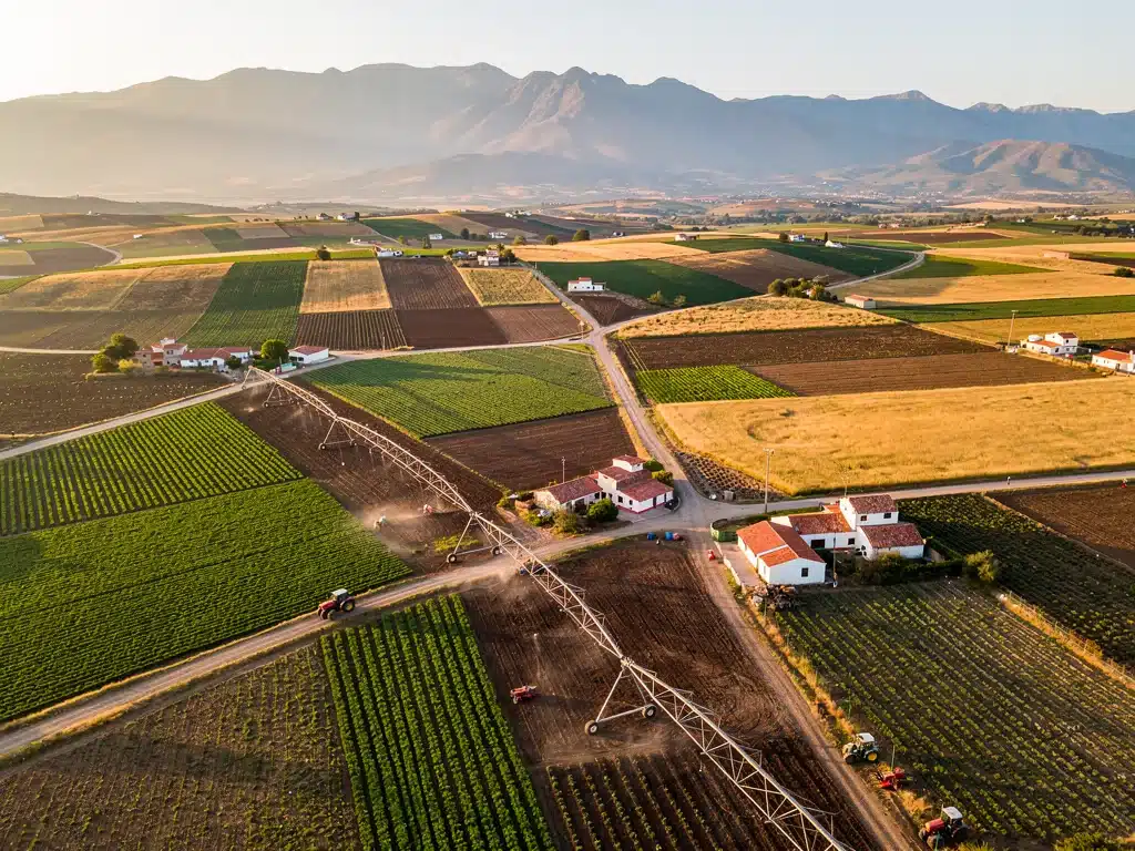 Mexico’s Agricultural Sector: 2026 Challenges & 4% Growth